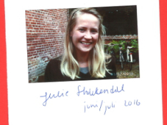 julie-stokkendal-2016