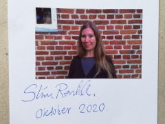 10-20-Stine-Reintoft